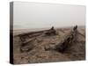 Shipwreck, Skeleton Coast National Park, Namibia, Africa-Sergio Pitamitz-Stretched Canvas