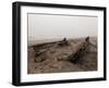 Shipwreck, Skeleton Coast National Park, Namibia, Africa-Sergio Pitamitz-Framed Photographic Print