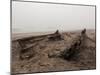 Shipwreck, Skeleton Coast National Park, Namibia, Africa-Sergio Pitamitz-Mounted Photographic Print