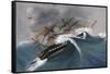 Shipwreck-null-Framed Stretched Canvas