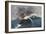 Shipwreck-null-Framed Giclee Print