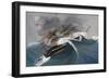 Shipwreck-null-Framed Giclee Print