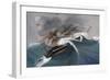 Shipwreck-null-Framed Giclee Print