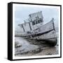 Shipwrecked Minnow 1-Marcus Prime-Framed Stretched Canvas