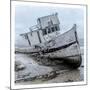 Shipwrecked Minnow 1-Marcus Prime-Mounted Art Print