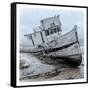 Shipwrecked Minnow 1-Marcus Prime-Framed Stretched Canvas