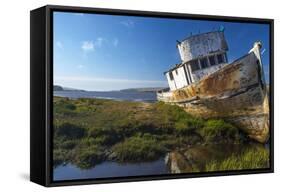 Shipwrecked Point Reyes at Tomales Bay in Inverness, California, USA-Chuck Haney-Framed Stretched Canvas