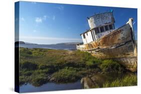 Shipwrecked Point Reyes at Tomales Bay in Inverness, California, USA-Chuck Haney-Stretched Canvas