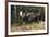 Shiras Bull Moose-Ken Archer-Framed Photographic Print