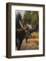 Shiras bull moose-Ken Archer-Framed Photographic Print