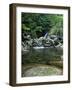 Shiratani Unsuikyo, Yakushima, Kagoshima, Japan-Rob Tilley-Framed Photographic Print