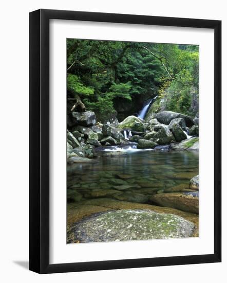 Shiratani Unsuikyo, Yakushima, Kagoshima, Japan-Rob Tilley-Framed Photographic Print