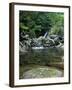 Shiratani Unsuikyo, Yakushima, Kagoshima, Japan-Rob Tilley-Framed Photographic Print