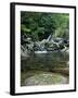 Shiratani Unsuikyo, Yakushima, Kagoshima, Japan-Rob Tilley-Framed Photographic Print