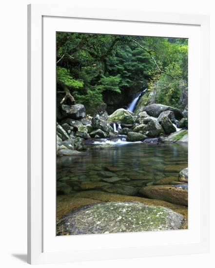 Shiratani Unsuikyo, Yakushima, Kagoshima, Japan-Rob Tilley-Framed Photographic Print