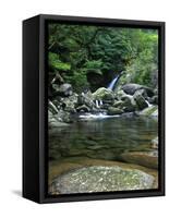 Shiratani Unsuikyo, Yakushima, Kagoshima, Japan-Rob Tilley-Framed Stretched Canvas