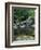 Shiratani Unsuikyo, Yakushima, Kagoshima, Japan-Rob Tilley-Framed Photographic Print