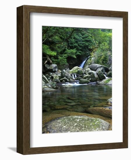 Shiratani Unsuikyo, Yakushima, Kagoshima, Japan-Rob Tilley-Framed Photographic Print