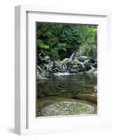 Shiratani Unsuikyo, Yakushima, Kagoshima, Japan-Rob Tilley-Framed Photographic Print