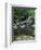 Shiratani Unsuikyo, Yakushima, Kagoshima, Japan-Rob Tilley-Framed Photographic Print