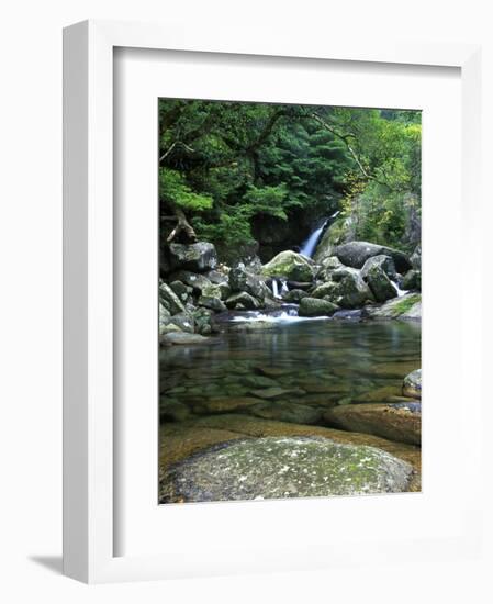 Shiratani Unsuikyo, Yakushima, Kagoshima, Japan-Rob Tilley-Framed Photographic Print