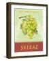 Shiraz-Pamela Gladding-Framed Art Print