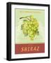 Shiraz-Pamela Gladding-Framed Art Print