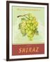 Shiraz-Pamela Gladding-Framed Art Print