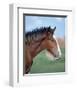 Shire horse-null-Framed Art Print