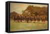 Shire Horses, 1896-James Weaver Tattersall-Framed Stretched Canvas