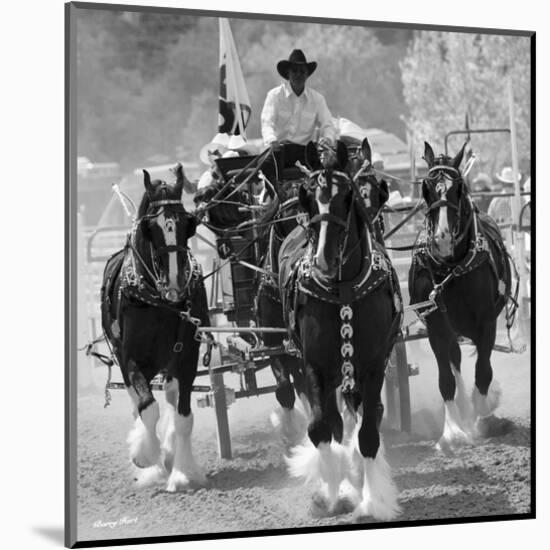 Shire Horses-Barry Hart-Mounted Art Print