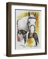 Shire-Barbara Keith-Framed Giclee Print