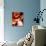 Shirley MacLaine-null-Stretched Canvas displayed on a wall