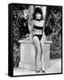 Shirley MacLaine-null-Framed Stretched Canvas