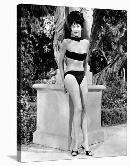 Shirley MacLaine-null-Stretched Canvas