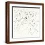 Brown Frame