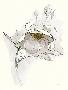Just the Print