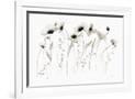 Gramercy White