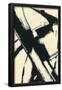 Essential Black