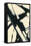 Canvas Black