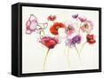 Framed Canvas