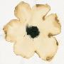 Laminate