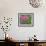 Shirley Poppies-Steve Satushek-Framed Art Print displayed on a wall