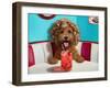 Shirley Temple-Lucia Heffernan-Framed Art Print