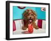 Shirley Temple-Lucia Heffernan-Framed Art Print