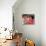 Shirley Valentine-null-Mounted Photo displayed on a wall