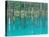 Shirogane Hot Springs, Blue Marsh, Hokkaido, Japan-Rob Tilley-Stretched Canvas