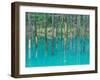 Shirogane Hot Springs, Blue Marsh, Hokkaido, Japan-Rob Tilley-Framed Photographic Print