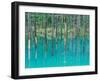 Shirogane Hot Springs, Blue Marsh, Hokkaido, Japan-Rob Tilley-Framed Photographic Print