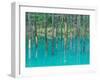 Shirogane Hot Springs, Blue Marsh, Hokkaido, Japan-Rob Tilley-Framed Photographic Print